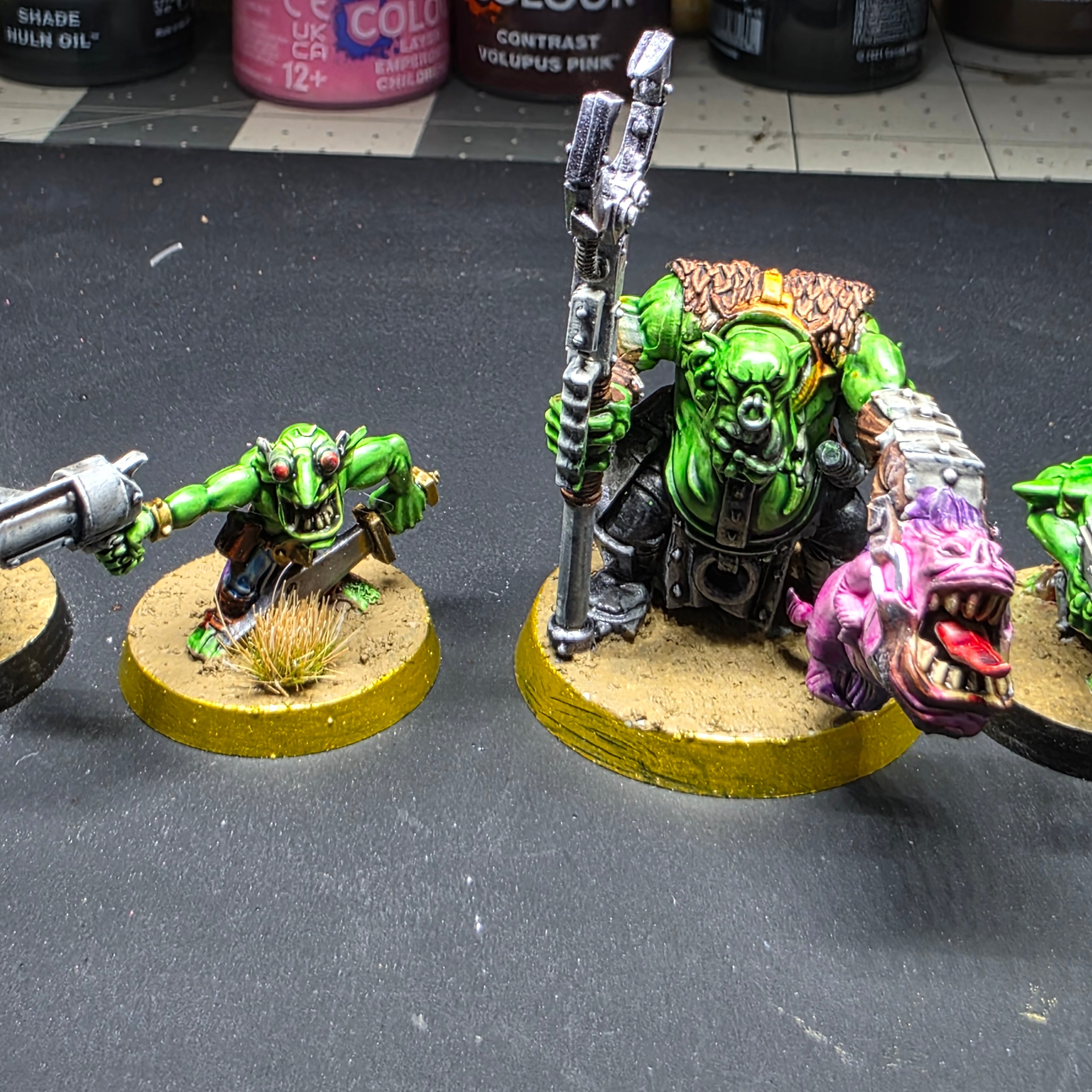 Runtherd and Gretchin Orks Unit **Pro Painted**